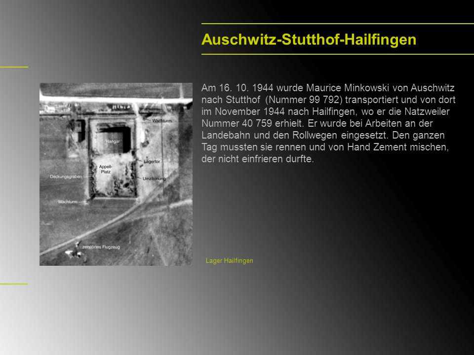 Auschwitz-Stutthof-Hailfingen