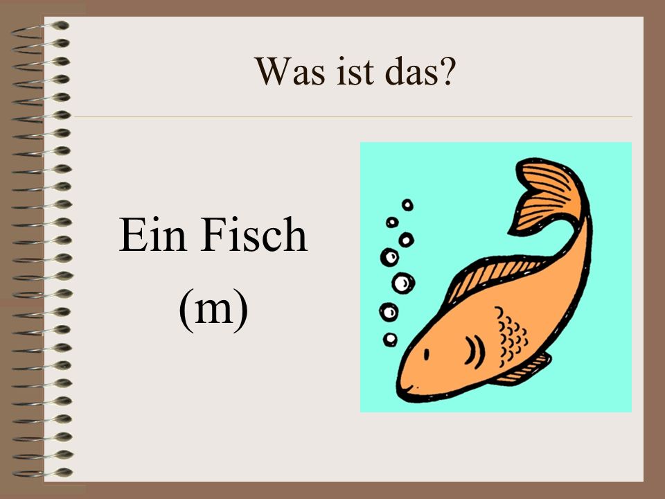 Was ist das Ein Fisch (m)