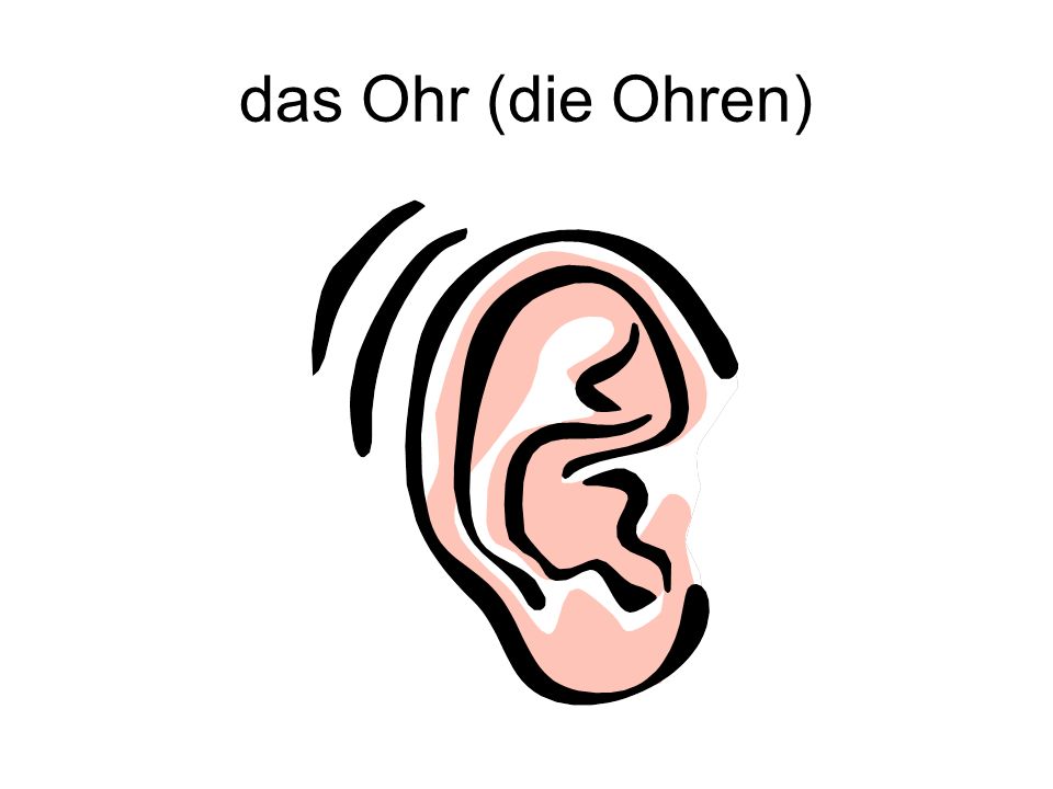 das Ohr (die Ohren)