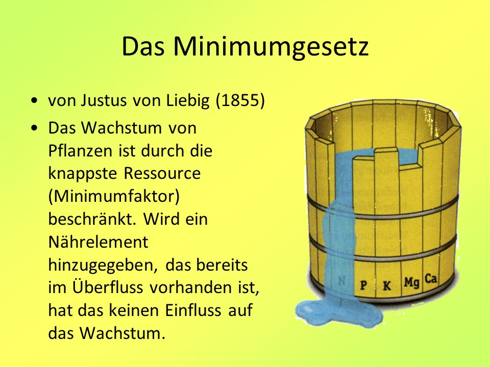 Das Minimumgesetz von Justus von Liebig (1855)