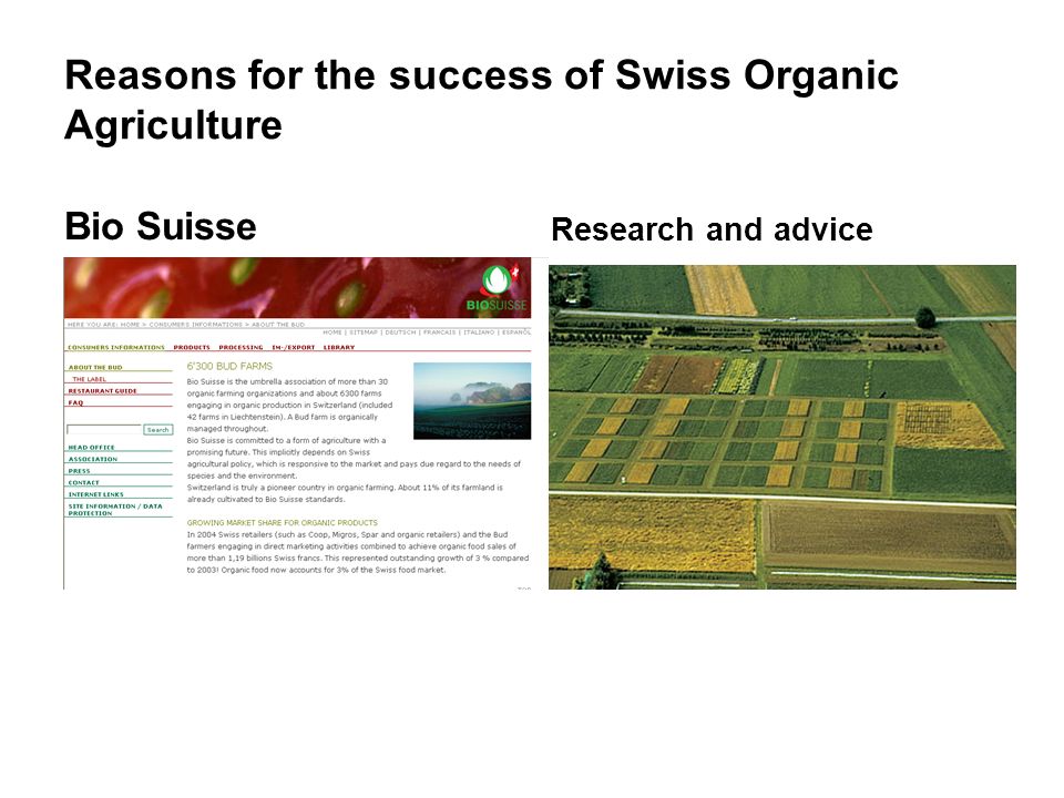 Reasons for the success of Swiss Organic Agriculture