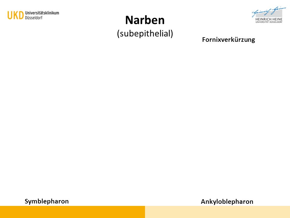 Narben (subepithelial)