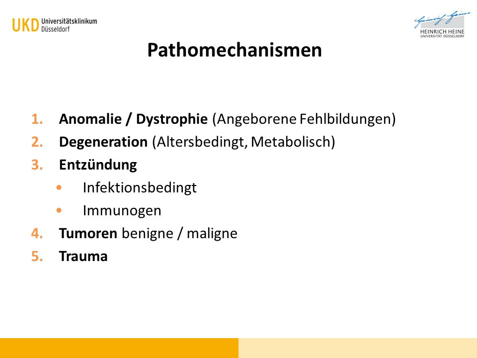 Pathomechanismen Anomalie / Dystrophie (Angeborene Fehlbildungen)