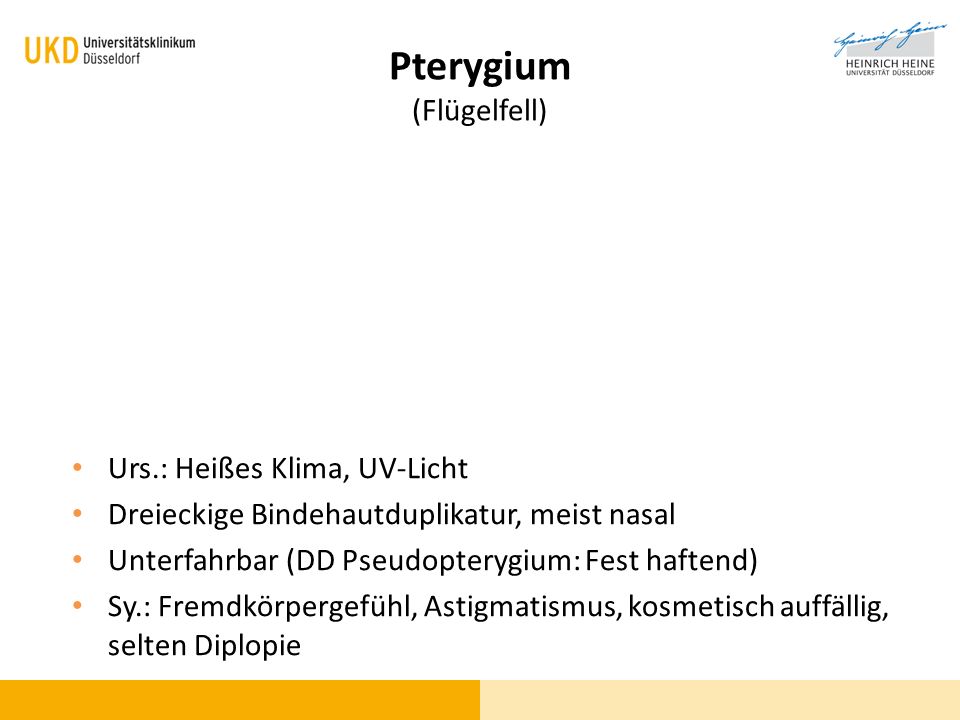 Pterygium (Flügelfell)