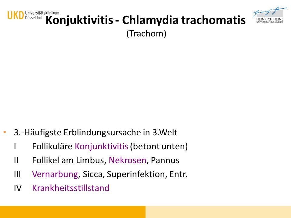Konjuktivitis - Chlamydia trachomatis (Trachom)