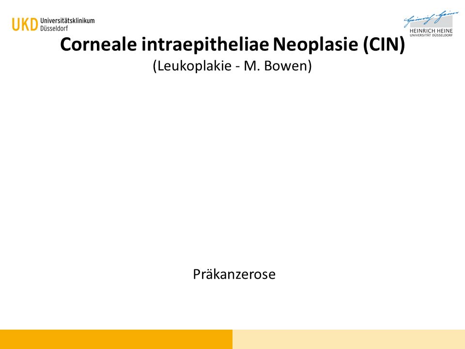 Corneale intraepitheliae Neoplasie (CIN) (Leukoplakie - M. Bowen)