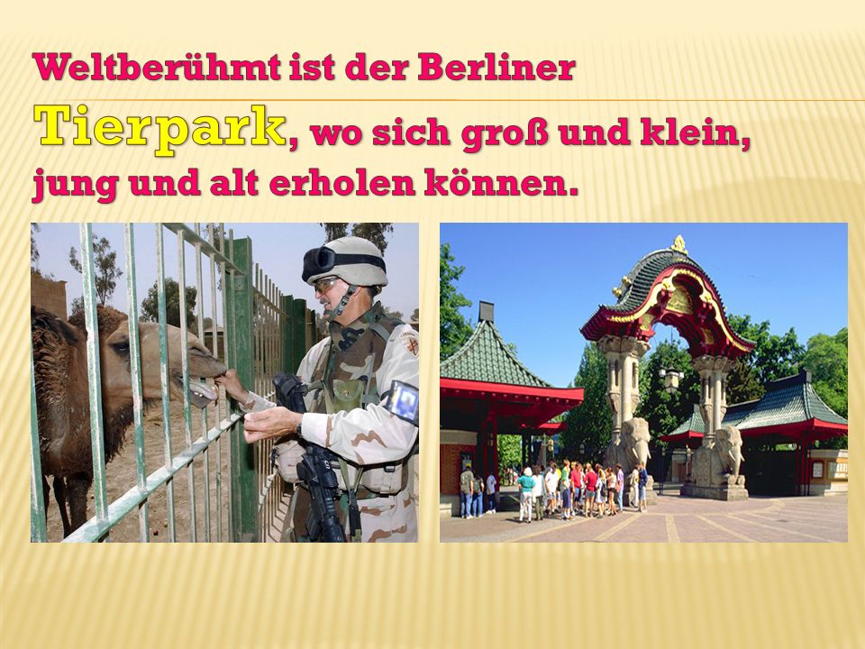 Weltberühmt ist der Berliner Tierpark, wo sich groß und klein, jung und alt erholen können.