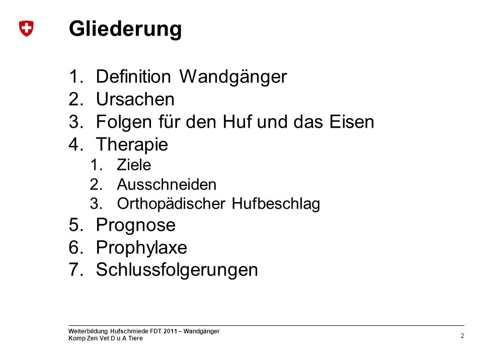 Gliederung Definition Wandgänger Ursachen