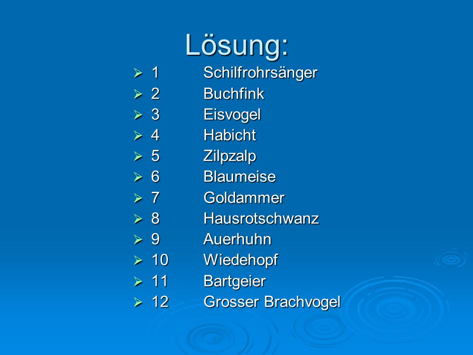 Lösung: 1 Schilfrohrsänger 2 Buchfink 3 Eisvogel 4 Habicht 5 Zilpzalp