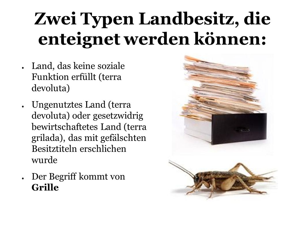 Zwei Typen Landbesitz, die enteignet werden können: