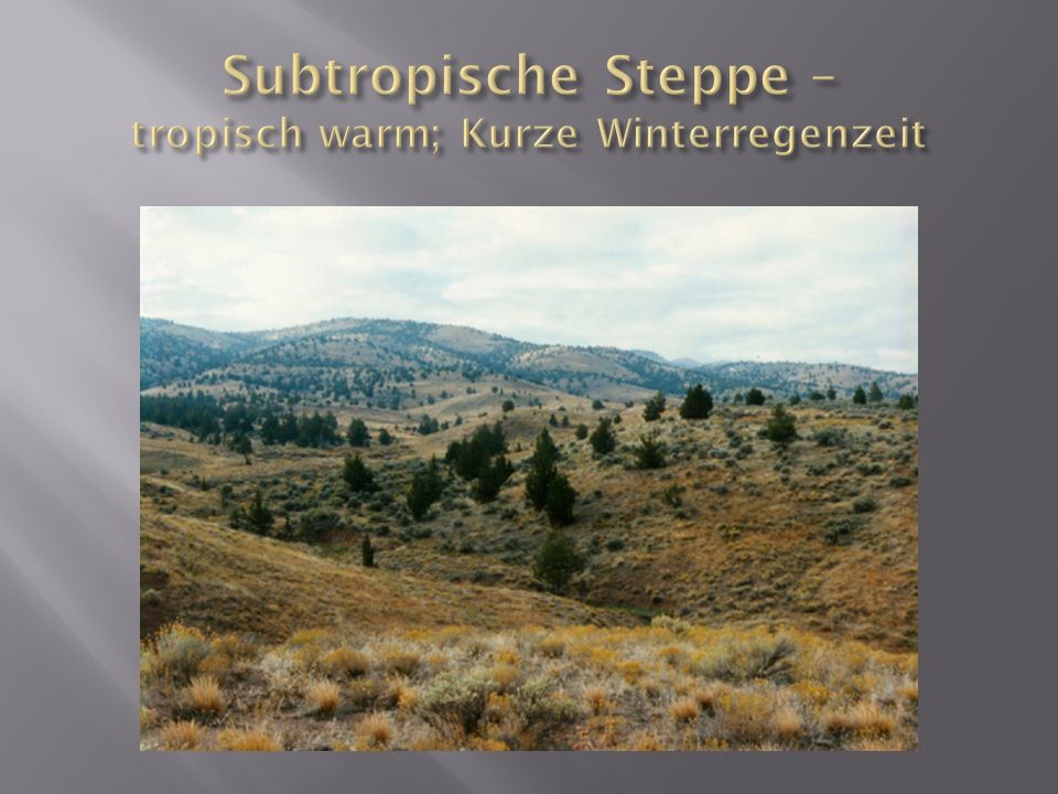 Subtropische Steppe – tropisch warm; Kurze Winterregenzeit