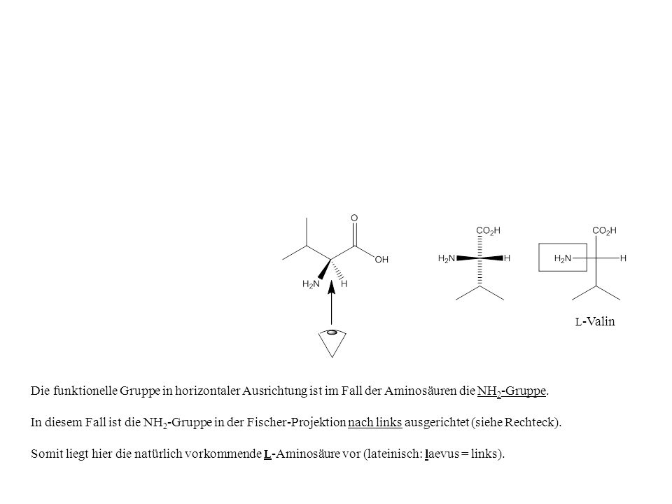 L-Valin Die funktionelle Gruppe in horizontaler Ausrichtung ist im Fall der Aminosäuren die NH2-Gruppe.