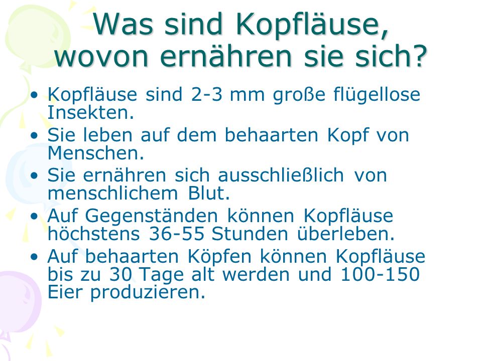 Was sind Kopfläuse, wovon ernähren sie sich