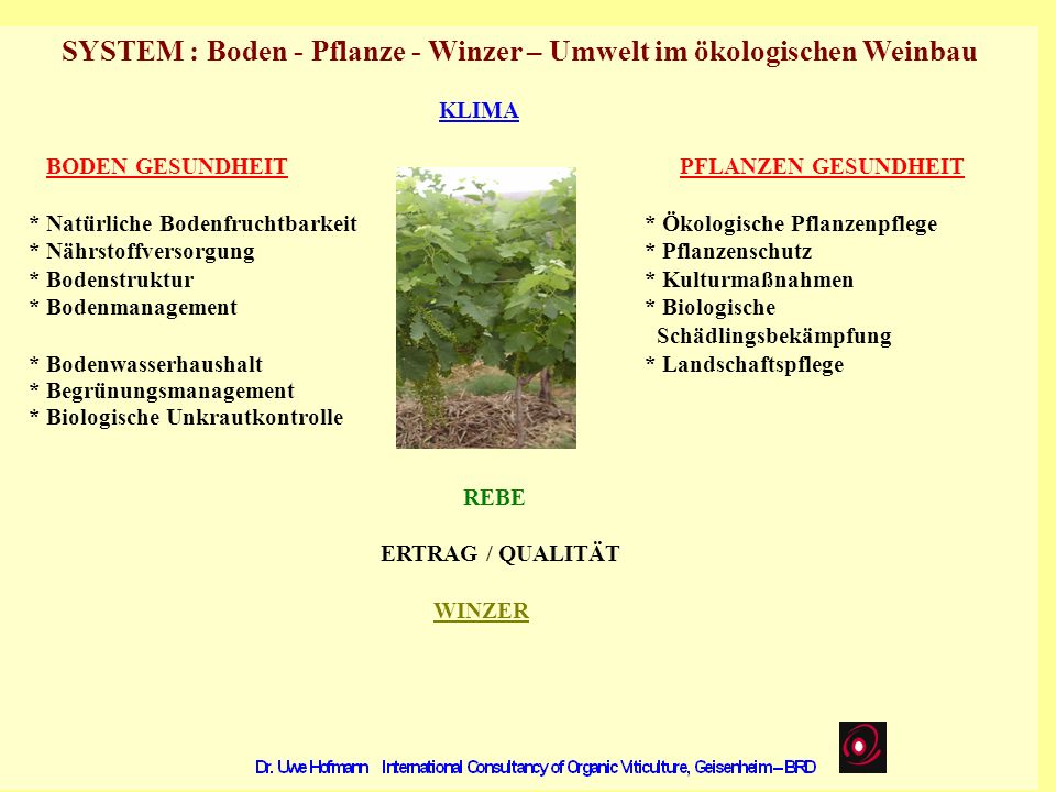 SYSTEM : Boden - Pflanze - Winzer – Umwelt im ökologischen Weinbau
