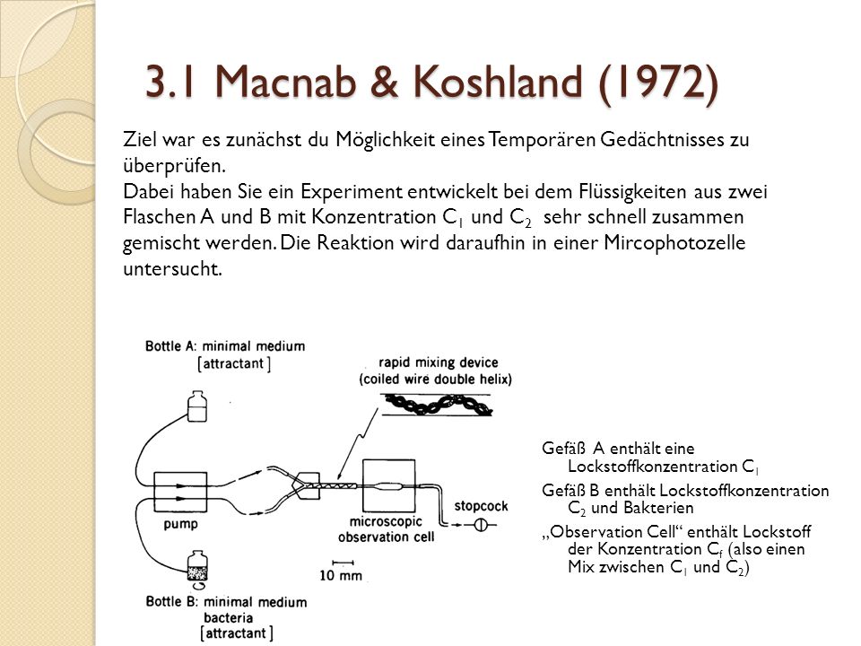 3.1 Macnab & Koshland (1972) Ziel war es zunächst du Möglichkeit eines Temporären Gedächtnisses zu überprüfen.