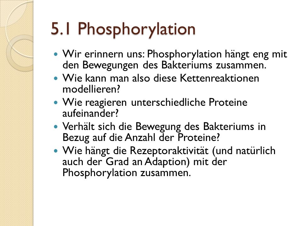 5.1 Phosphorylation Wir erinnern uns: Phosphorylation hängt eng mit den Bewegungen des Bakteriums zusammen.