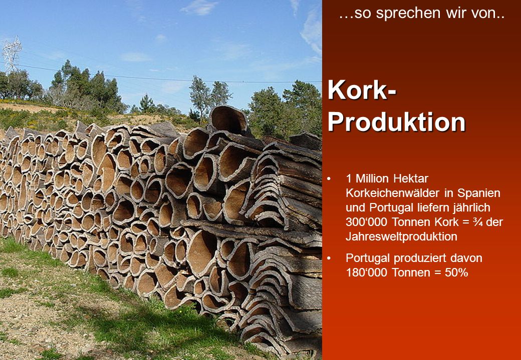 Kork-Produktion …so sprechen wir von..