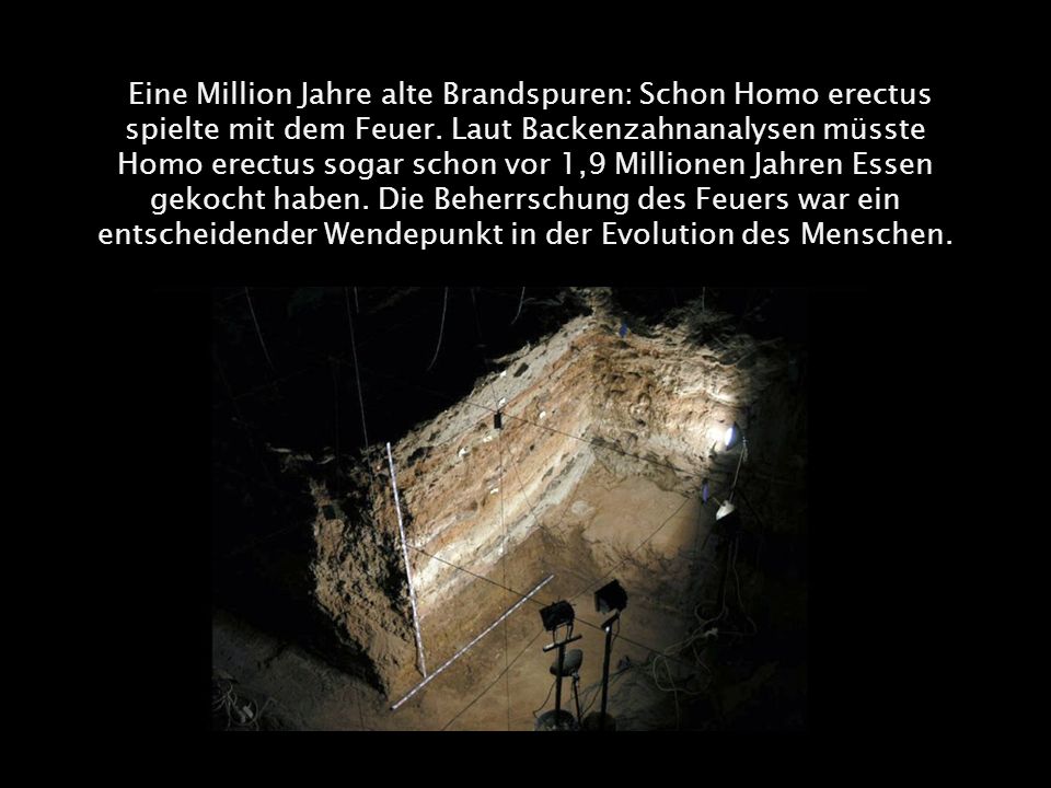 Eine Million Jahre alte Brandspuren: Schon Homo erectus spielte mit dem Feuer.