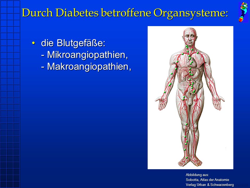 Durch Diabetes betroffene Organsysteme: