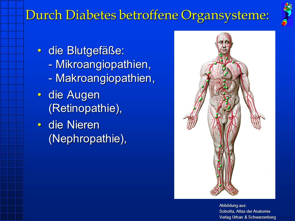 Durch Diabetes betroffene Organsysteme: