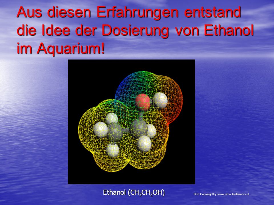 Aus diesen Erfahrungen entstand die Idee der Dosierung von Ethanol im Aquarium!