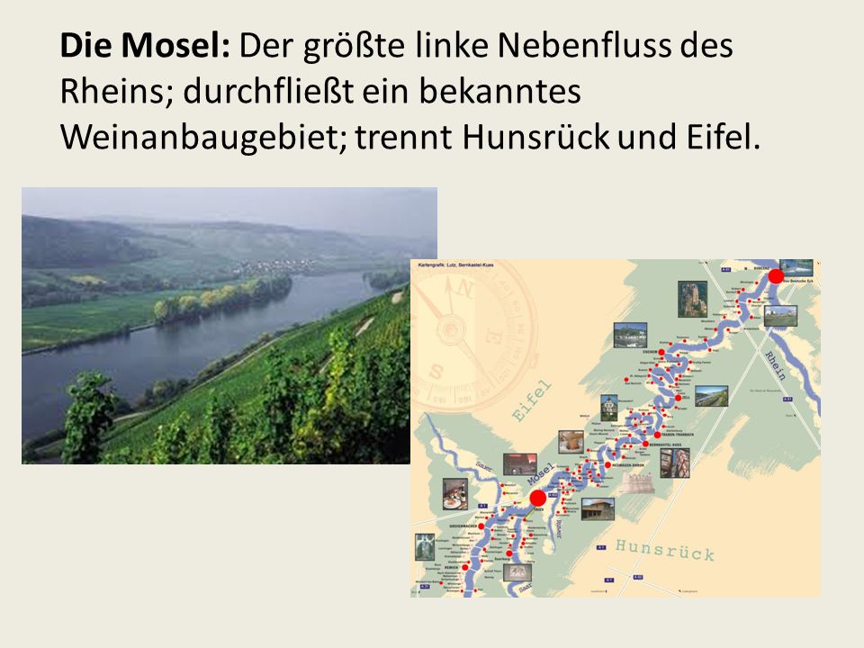 Die Mosel: Der größte linke Nebenfluss des Rheins; durchfließt ein bekanntes Weinanbaugebiet; trennt Hunsrück und Eifel.