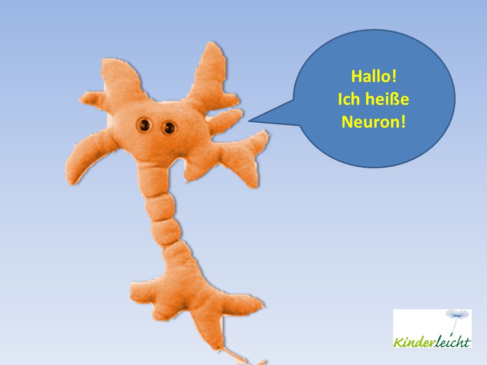 Hallo! Ich heiße Neuron!
