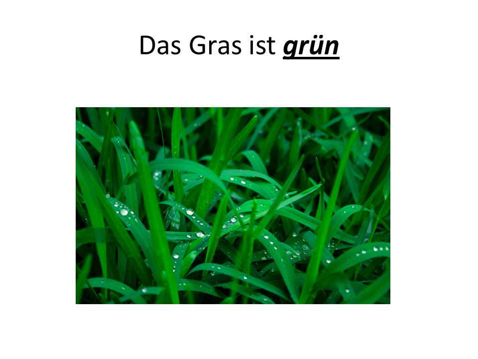 Das Gras ist grün