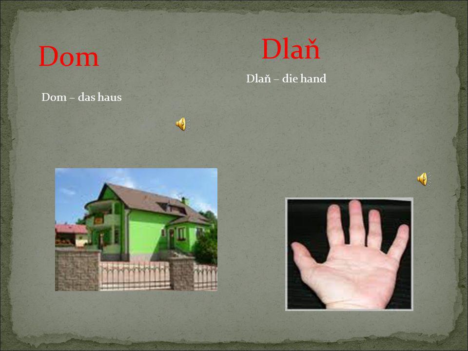 Dlaň Dom Dlaň – die hand Dom – das haus