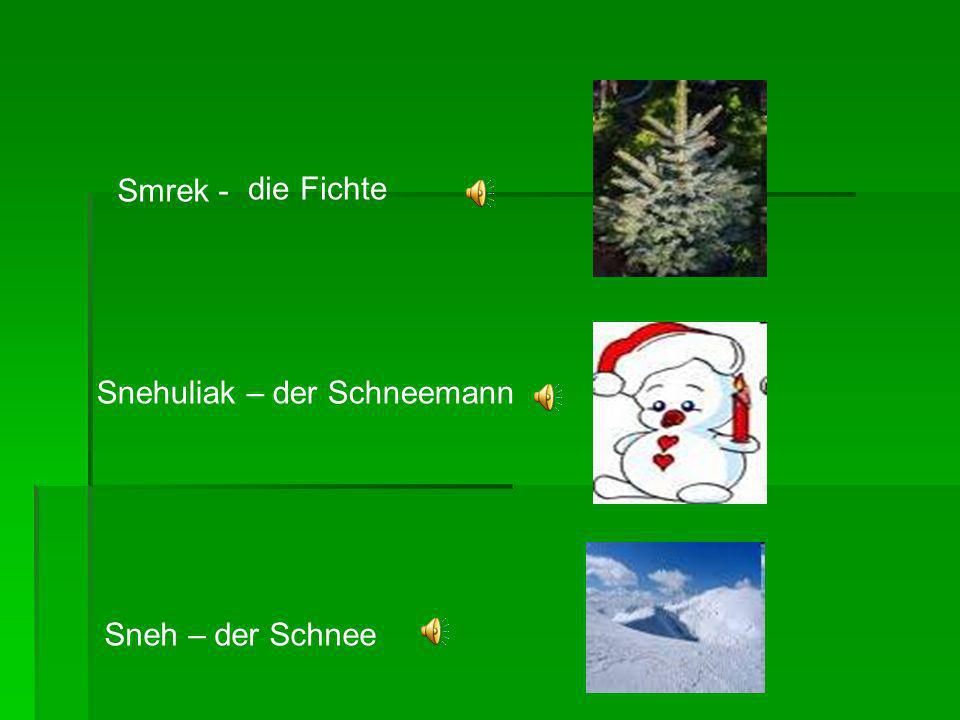 Smrek - die Fichte Snehuliak – der Schneemann Sneh – der Schnee