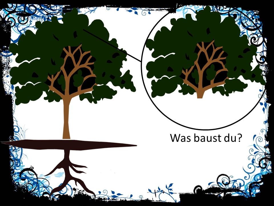 hier wird es nun sichtbar – eine Arche von ca