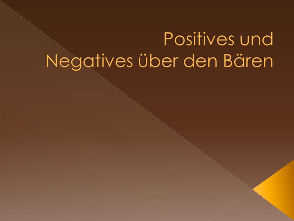 Positives und Negatives über den Bären