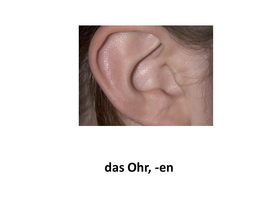das Ohr, -en