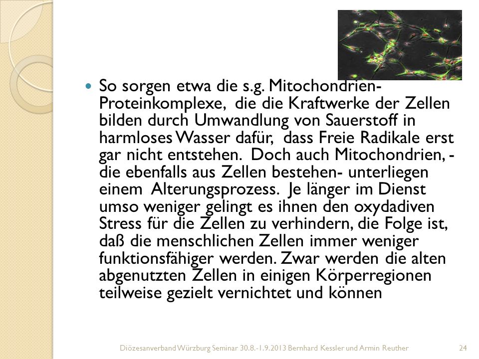 So sorgen etwa die s.g. Mitochondrien- Proteinkomplexe, die die Kraftwerke der Zellen bilden durch Umwandlung von Sauerstoff in harmloses Wasser dafür, dass Freie Radikale erst gar nicht entstehen. Doch auch Mitochondrien, - die ebenfalls aus Zellen bestehen- unterliegen einem Alterungsprozess. Je länger im Dienst umso weniger gelingt es ihnen den oxydadiven Stress für die Zellen zu verhindern, die Folge ist, daß die menschlichen Zellen immer weniger funktionsfähiger werden. Zwar werden die alten abgenutzten Zellen in einigen Körperregionen teilweise gezielt vernichtet und können