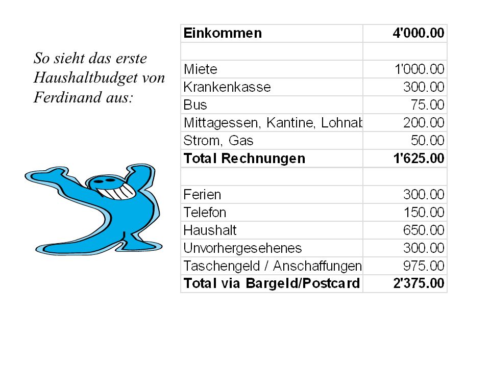 So sieht das erste Haushaltbudget von Ferdinand aus: