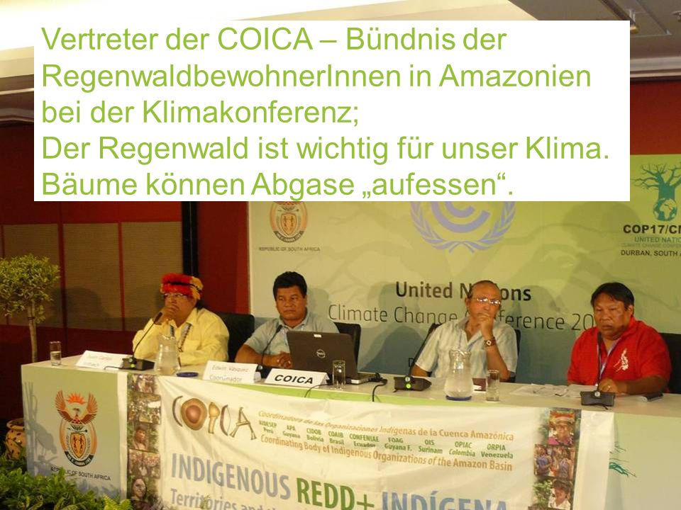 Indigene (Indiander) bei der Klimakonferenz