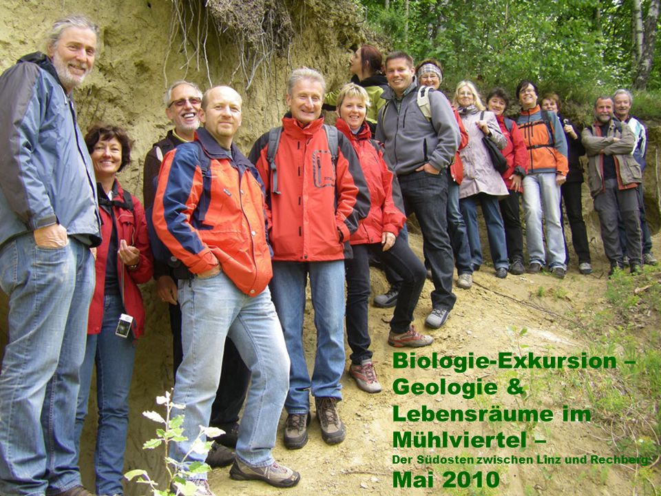Biologie-Exkursion – Geologie & Lebensräume im Mühlviertel – Der Südosten zwischen Linz und Rechberg Mai 2010