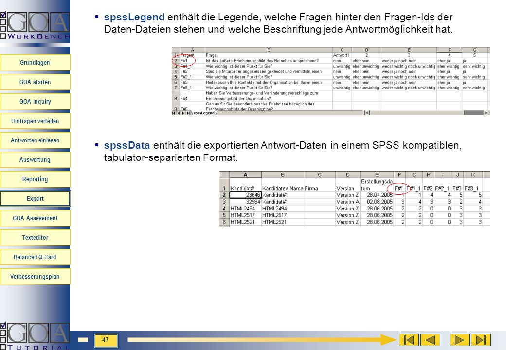 spssLegend enthält die Legende, welche Fragen hinter den Fragen-Ids der Daten-Dateien stehen und welche Beschriftung jede Antwortmöglichkeit hat.