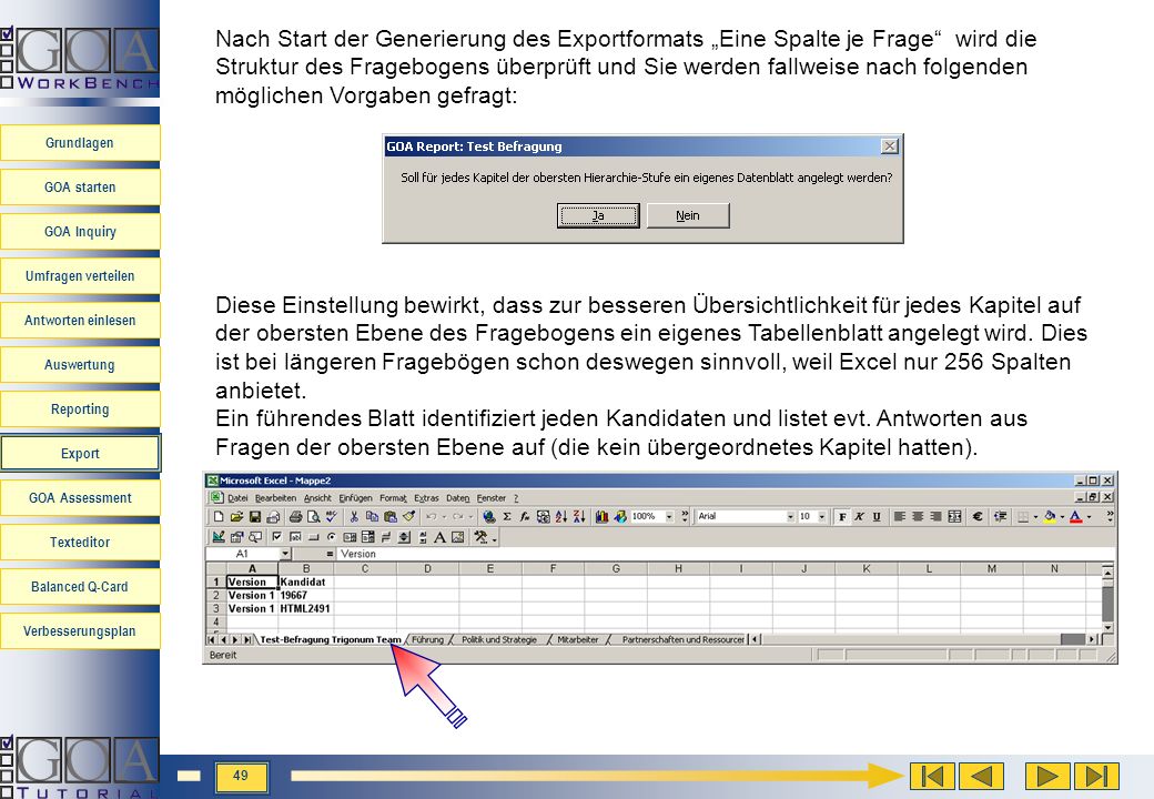 Nach Start der Generierung des Exportformats „Eine Spalte je Frage wird die Struktur des Fragebogens überprüft und Sie werden fallweise nach folgenden möglichen Vorgaben gefragt: