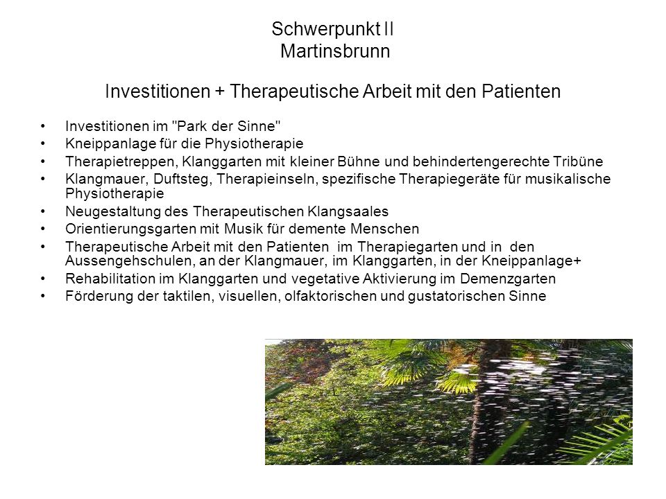 Schwerpunkt II Martinsbrunn Investitionen + Therapeutische Arbeit mit den Patienten