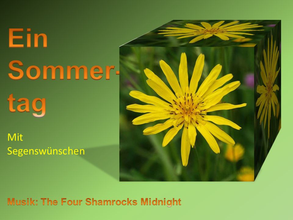 Ein Sommer- tag Mit Segenswünschen Musik: The Four Shamrocks Midnight