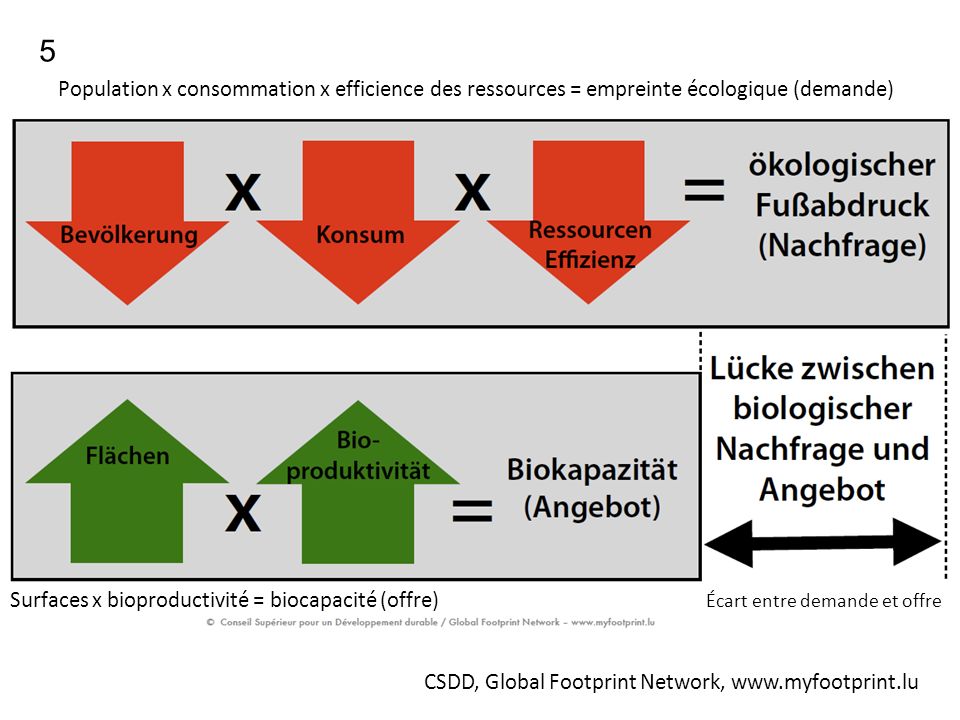 5 Population x consommation x efficience des ressources = empreinte écologique (demande)