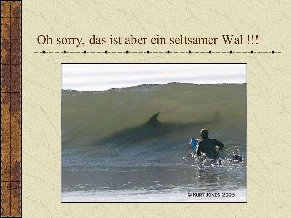 Oh sorry, das ist aber ein seltsamer Wal !!!