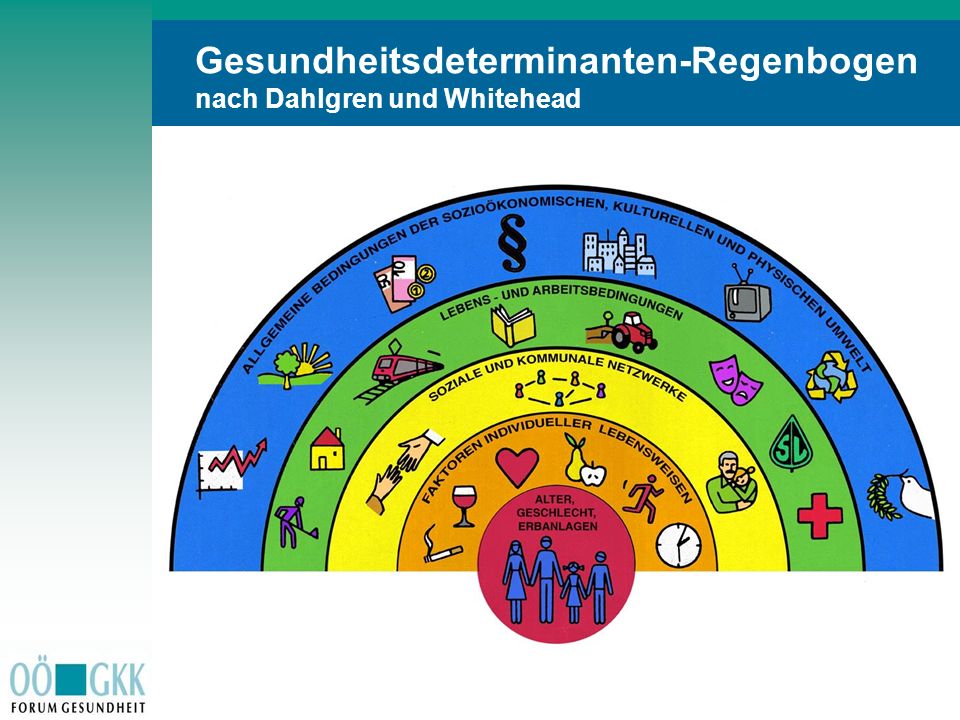 Gesundheitsdeterminanten-Regenbogen nach Dahlgren und Whitehead