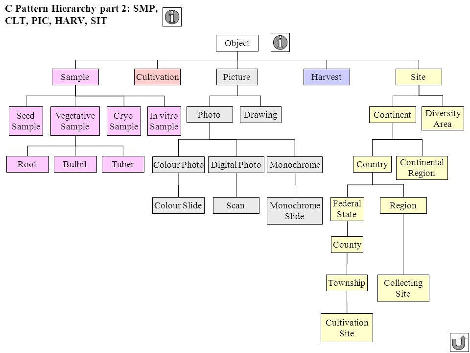 C Pattern Hierarchy part 2: SMP, CLT, PIC, HARV, SIT