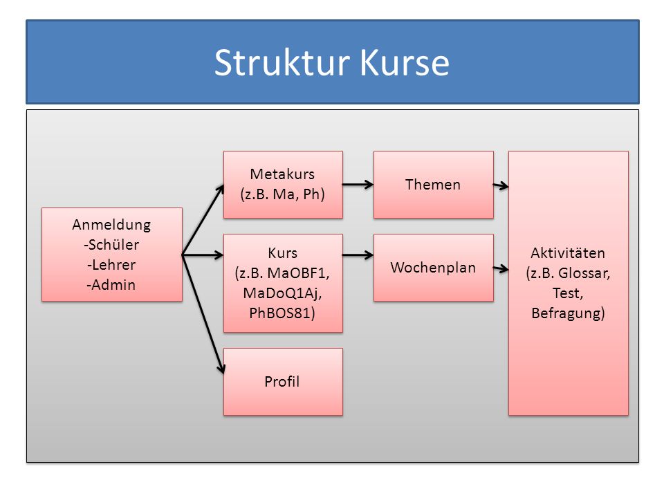 Struktur Kurse Metakurs Themen (z.B. Ma, Ph) Aktivitäten