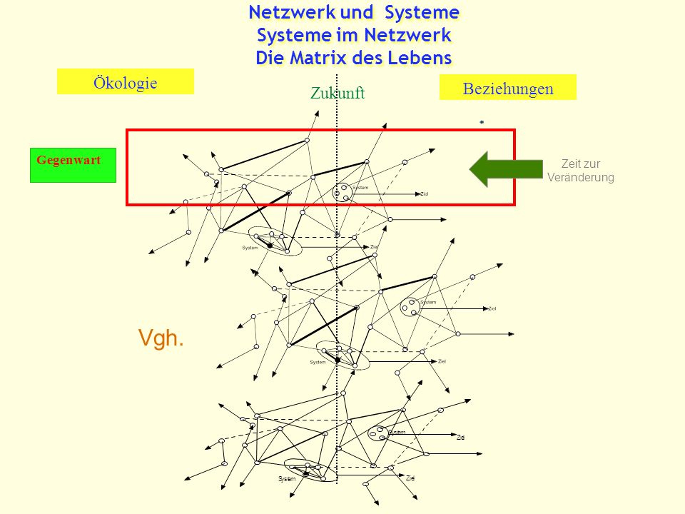 Netzwerk und Systeme Systeme im Netzwerk Die Matrix des Lebens