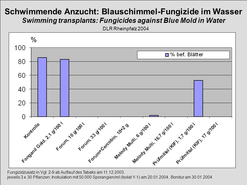 Schwimmende Anzucht: Blauschimmel-Fungizide im Wasser Swimming transplants: Fungicides against Blue Mold in Water