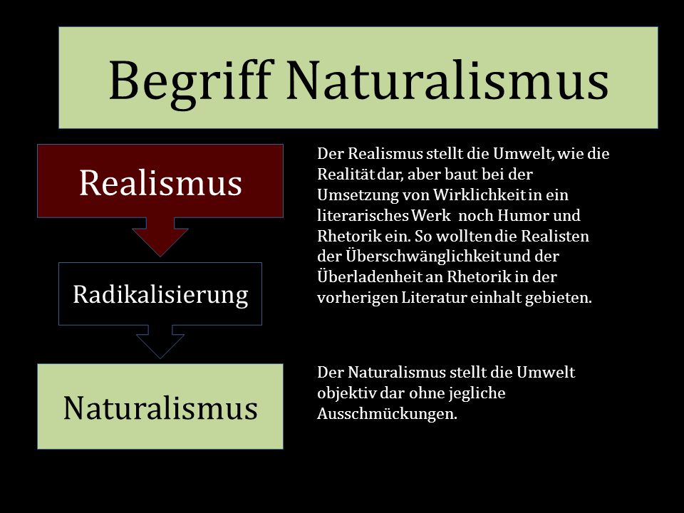 Begriff Naturalismus Realismus Naturalismus Radikalisierung