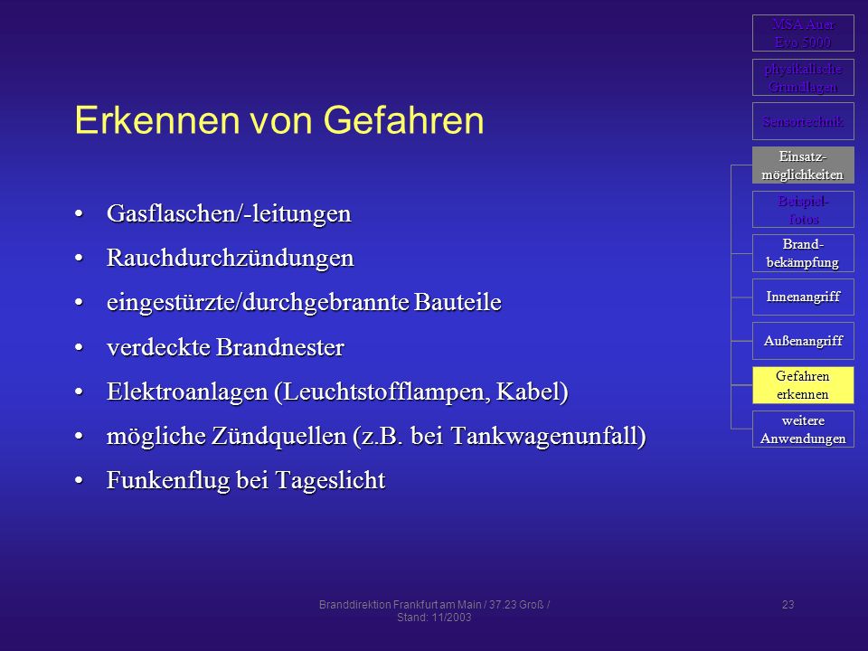 Branddirektion Frankfurt am Main / Groß / Stand: 11/2003